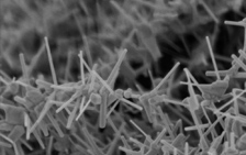 ZnO crystals grown on Carbon Nanotubes