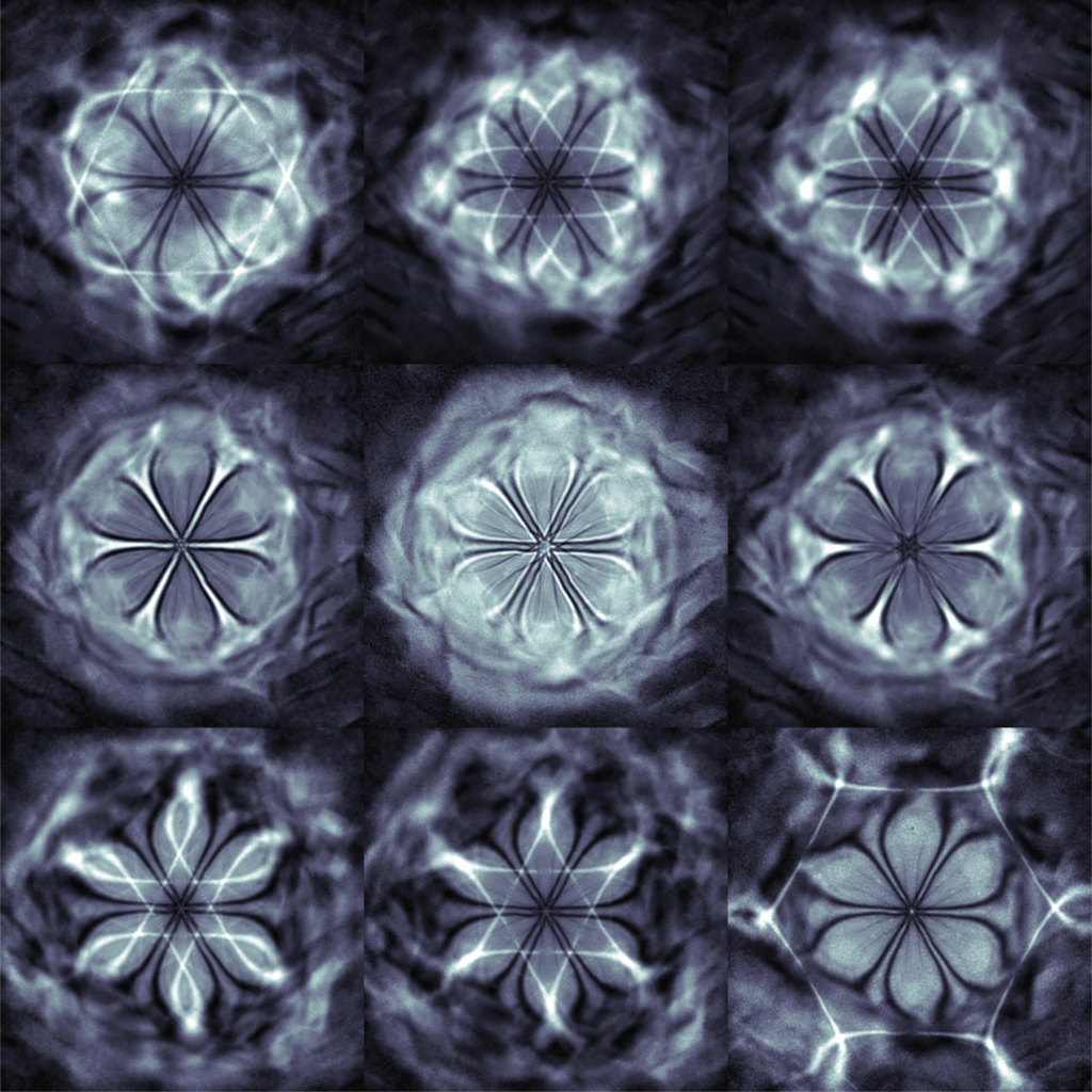 "Glacial Microbloom," set of images acquired by Nishkarsh Agarwal on the Thermo Fisher Talos transmission electron microscope located in (MC)2